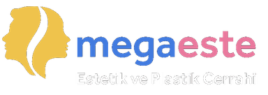 Megaeste Logo