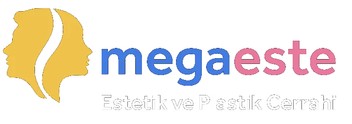 Megaeste Logo